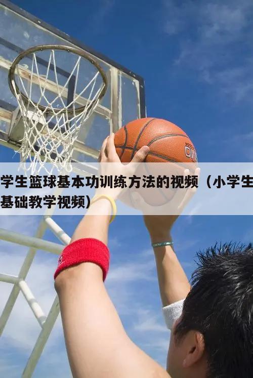 小学生篮球基本功训练方法的视频（小学生篮球基础教学视频）