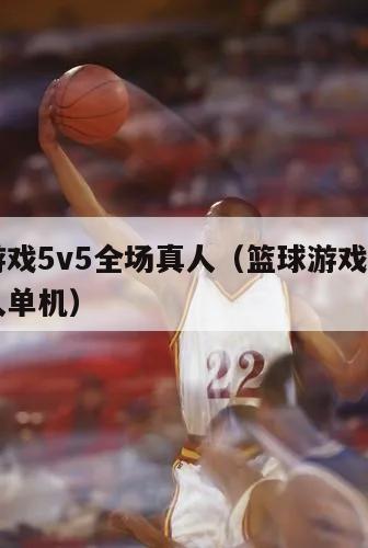 篮球游戏5v5全场真人（篮球游戏5v5全场真人单机）